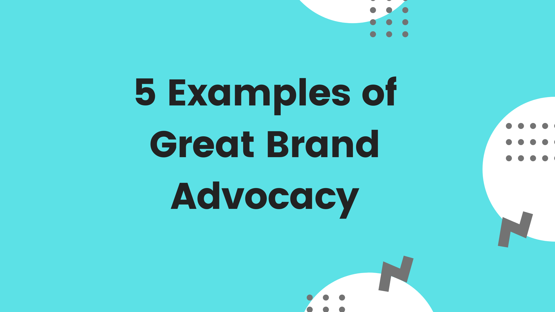 How To Become A Fashion Brand Ambassador 8 Great Programs